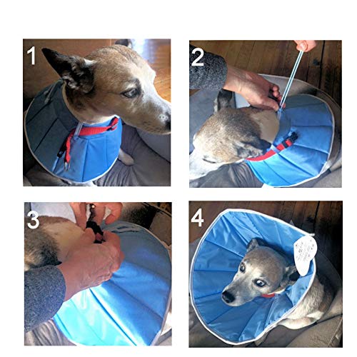 Collar de curación para perro o gato 2 (M) – Contorno de cabeza: 24 – 30 cm, altura 16 cm