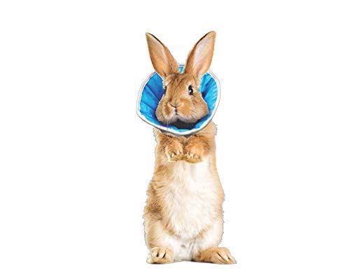Collar de curación para perro o gato 2 (M) – Contorno de cabeza: 24 – 30 cm, altura 16 cm