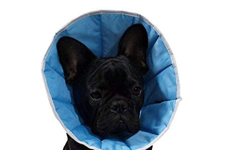 Collar de curación para perro o gato 2 (M) – Contorno de cabeza: 24 – 30 cm, altura 16 cm