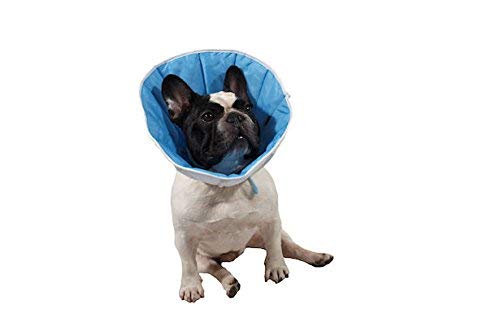 Collar de curación para perro o gato 2 (M) – Contorno de cabeza: 24 – 30 cm, altura 16 cm