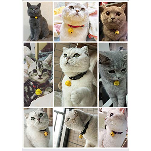 Collar de Gato japonés para Gatito, Cachorro, Mascota, Collares de Gato Ajustables con Campanas y Hebilla de Seguridad de liberación rápida, Adecuado para la mayoría de los Gatos domésticos (S)