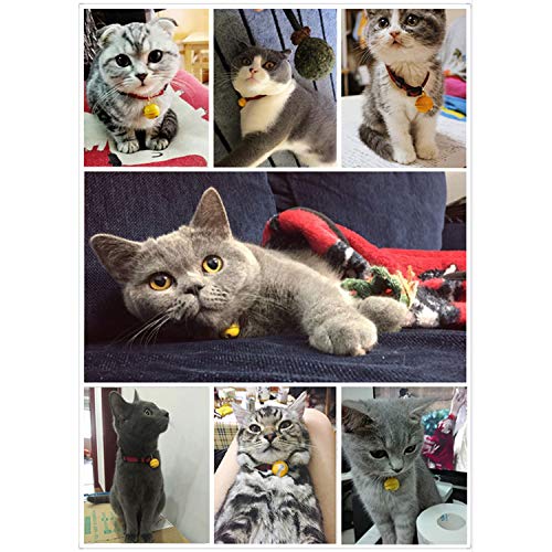 Collar de Gato japonés para Gatito, Cachorro, Mascota, Collares de Gato Ajustables con Campanas y Hebilla de Seguridad de liberación rápida, Adecuado para la mayoría de los Gatos domésticos (S)