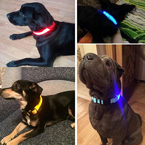 Collar de perro familiar, de nailon, luz intermitente de seguridad, collar fluorescente luminoso para perros (azul, S)