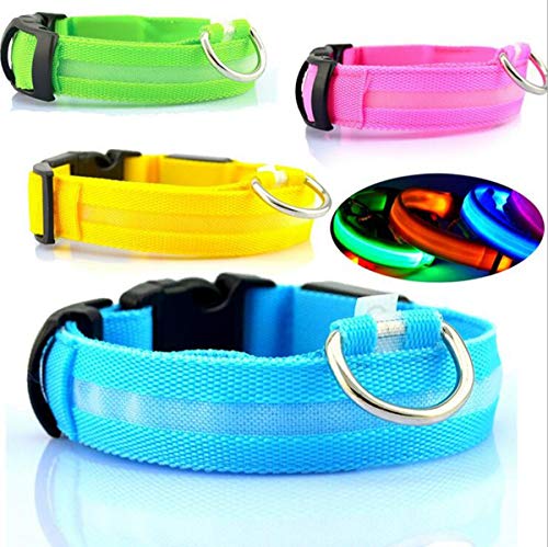 Collar de perro familiar, de nailon, luz intermitente de seguridad, collar fluorescente luminoso para perros (azul, S)