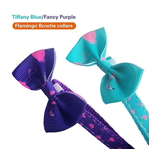 Collar YCZ-Flamingo en Esmeralda Claro y Púrpura para Gato, Cuello 7.8-26.6 cm, Collares Ajustable para Gatos, Paquete de 2