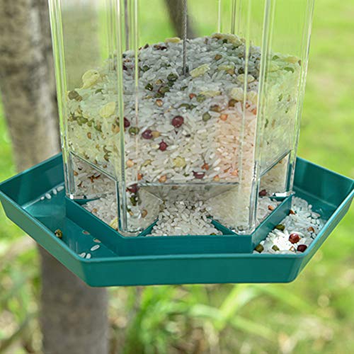 Comedero Pajaros Jardin Comedero Pajaros Exterior Jardín pájaro Robin pájaro Hambre alimentador de Aves La alimentación de Aves Grey