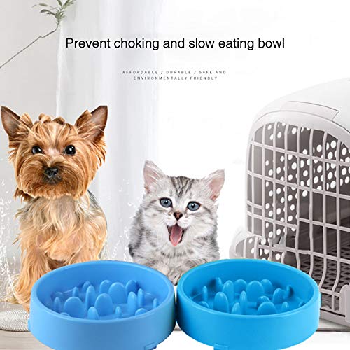 Comedero para perros, comedero para mascotas, antideslizante, evita eficazmente el asfixia de mascotas, comedero lento para perros y gatos (azul)