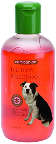 COMPANION Compañero Champú de árbol de té, 250 ml