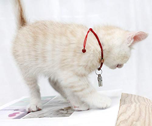 Concisea 10pcs Mini Etiquetas de Identificación para Perro, Etiquetas de Identificación de con Nombre Gatos Accesorios Placas Identificativas Perros Anti-Perdido Etiqueta de DireccióN Incluida Llavero