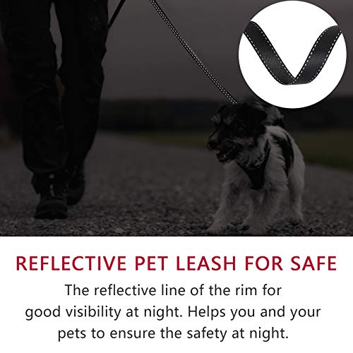 Correa Perro Medianos y Grandes Extensible 5m Cuerda para Perros retractil, Reflectantes Lluminosas Nylon Fuerte Correa Perro Grande de hasta 25/50kg, 360 ° sin enredos (Blanco, Grande)