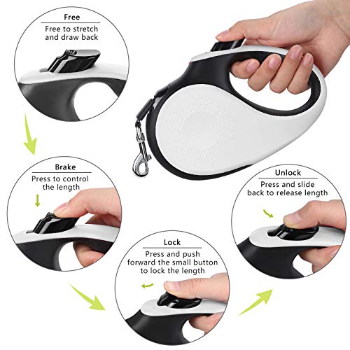 Correa Perro Medianos y Grandes Extensible 5m Cuerda para Perros retractil, Reflectantes Lluminosas Nylon Fuerte Correa Perro Grande de hasta 25/50kg, 360 ° sin enredos (Blanco, Grande)