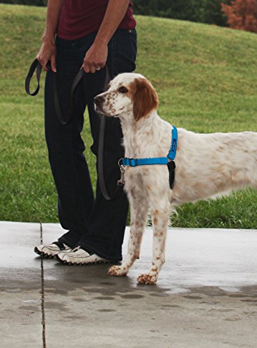 Croci PetSafe Easy Walk Deluxe Harness/Leash Arnés, Blue Ocean, Mittel