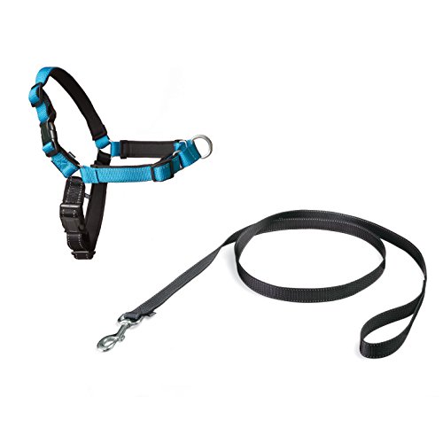 Croci PetSafe Easy Walk Deluxe Harness/Leash Arnés, Blue Ocean, Mittel