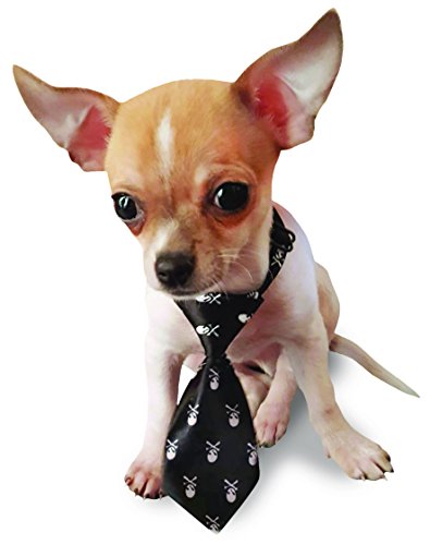 Cruces c7020108 Pajarita para Perros y Gatos