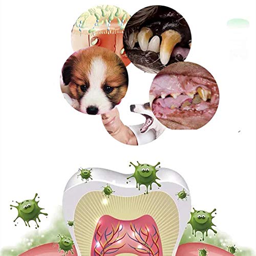 Csheng Cepillo De Dientes para Perros Cepillos De Dientes para Perros Cepillo De Dientes para Cachorros Cepillo De Dientes para Mascotas Productos De Limpieza Oral para Mascotas