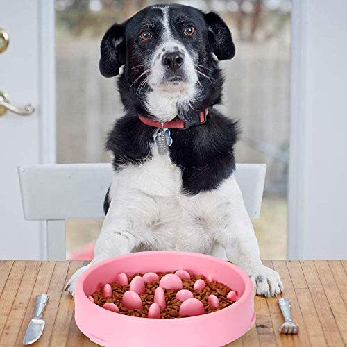 Cuenco para Perro y Gato Tazón de Alimentación Mascota Cuenco de Alimentación Lento Interactivo Bol para Perro de Mascota (Rosa)