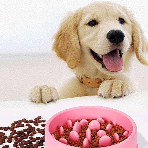 Cuenco para Perro y Gato Tazón de Alimentación Mascota Cuenco de Alimentación Lento Interactivo Bol para Perro de Mascota (Rosa)