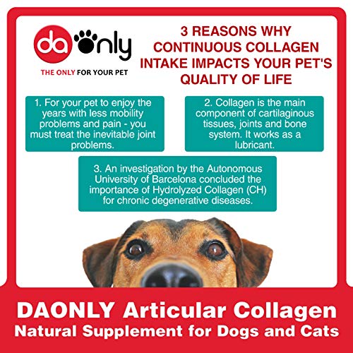 DAONLY colágeno Natural antiinflamatorio para Perros |300 Comprimidos| Pastillas Naturales | Alternativa a medicamentos y condroprotectores para Gatos (300 Tabletas)