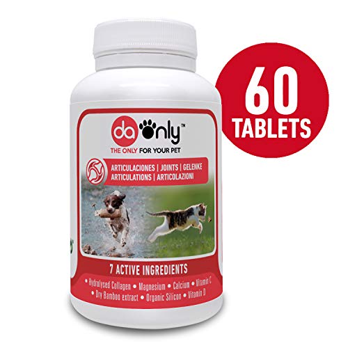 DAONLY colágeno Natural antiinflamatorio para Perros |60 Comprimidos| Pastillas Naturales | Alternativa a medicamentos y condroprotectores para Gatos