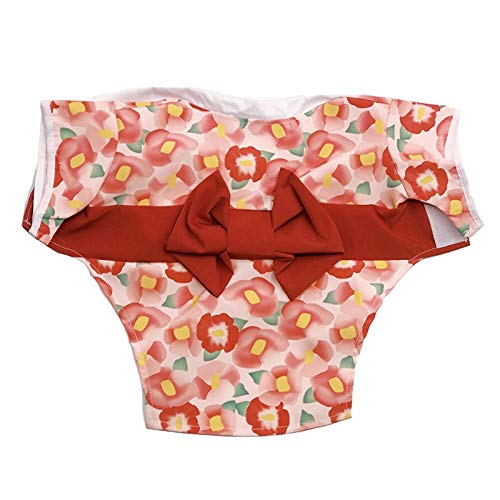 Datouya Ropa de Perro Primavera y otoño Chaqueta Delgada Kimono Vestido Bichon Corgi Ropa Ropa cómoda para Perros (Color : Kimono, Size : Large)