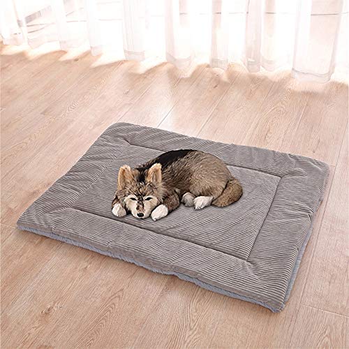 DC CLOUD Manta para Perros Cama para Perros Al Aire Libre Mimoso Almohada Suave para Perros Estera HigiéNica Lavable para Mascotas con Una Acogedora Superficie De Micro Felpa para Gatos Gray,M
