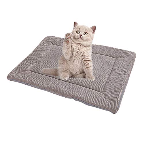 DC CLOUD Manta para Perros Cama para Perros Al Aire Libre Mimoso Almohada Suave para Perros Estera HigiéNica Lavable para Mascotas con Una Acogedora Superficie De Micro Felpa para Gatos Gray,M