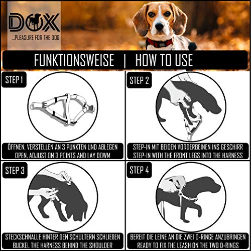 DDOXX Arnés Perro Step-In Air Mesh, Ajustable, Acolchado | Muchos Colores & Tamaños | para Perros Pequeño, Mediano y Grande | Accesorios Gato Cachorro | Azul, L