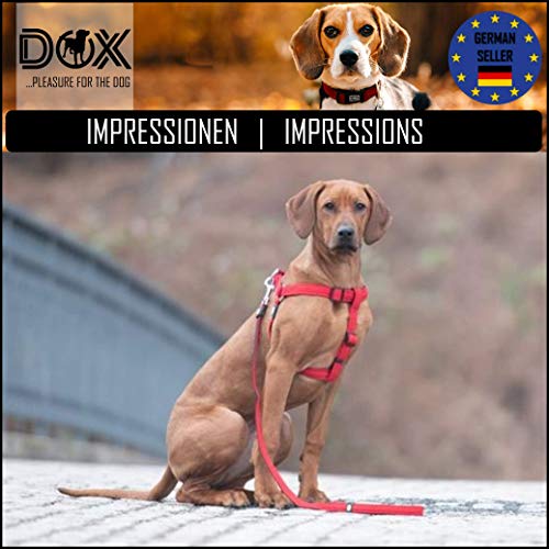 DDOXX Arnés Perro Step-In Air Mesh, Ajustable, Acolchado | Muchos Colores & Tamaños | para Perros Pequeño, Mediano y Grande | Accesorios Gato Cachorro | Azul, L