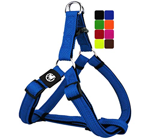 DDOXX Arnés Perro Step-In Air Mesh, Ajustable, Acolchado | Muchos Colores & Tamaños | para Perros Pequeño, Mediano y Grande | Accesorios Gato Cachorro | Azul, L