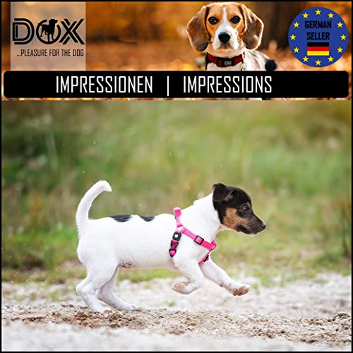 DDOXX Arnés Perro Step-In Nylon, Ajustable | Muchos Colores & Tamaños | para Perros Pequeño, Mediano y Grande | Accesorios Gato Cachorro | Azul, L