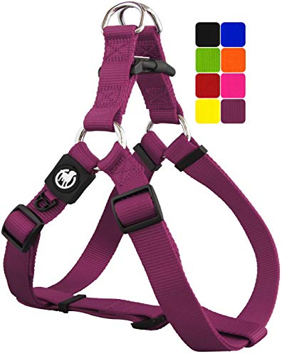 DDOXX Arnés Perro Step-In Nylon, Ajustable | Muchos Colores & Tamaños | para Perros Pequeño, Mediano y Grande | Accesorios Gato Cachorro | Violeta, XXS