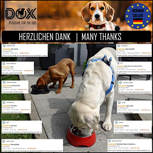 DDOXX Comedero Doble Perro, Antideslizante | Muchos Colores y Tamaños | para Perros Pequeño, Mediano y Grande | Bol Accesorios Acero INOX-Idable Melamina Gato Cachorro | Blanco, 2 x 700 ml
