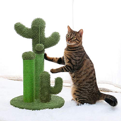 De minimis - Árbol rascador para gatos, diseño de cactus verde, altura 68,5 cm