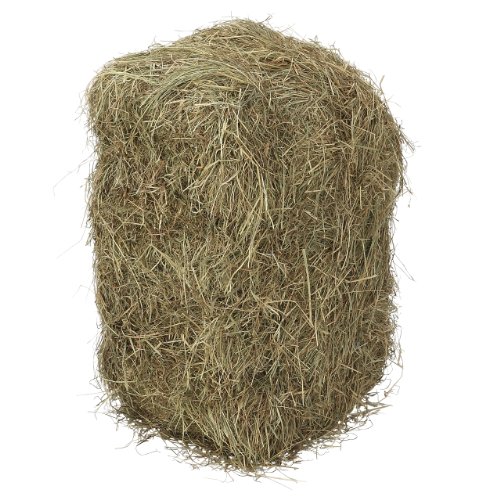 Dehner - Fardos de Paja de Prado (1 Unidad de 10 kg)