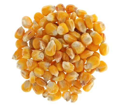 Dehner Granero maíz pienso Individual, 4 x 2,5 kg (10 kg)