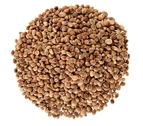 Dehner Natura - Comida para Aves Silvestres, 2,5 kg