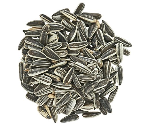 Dehner Natura - Comida para pájaros Silvestres, Semillas de Girasol