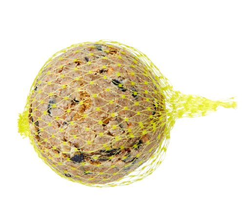 Dehner Natura - Pienso para Aves Silvestres, Bolas de Insectos, 30 Unidades (3 kg)