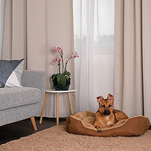 dibea Cama perros cojín perros cesta perros con cojín tamaño (L) 75x60 cm beige/marrón