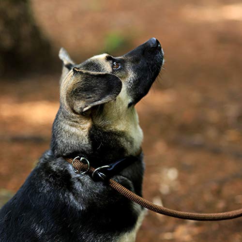 dibea Correa Retriever correa de perro correa de entrenamiento longitud 120 cm Marrón