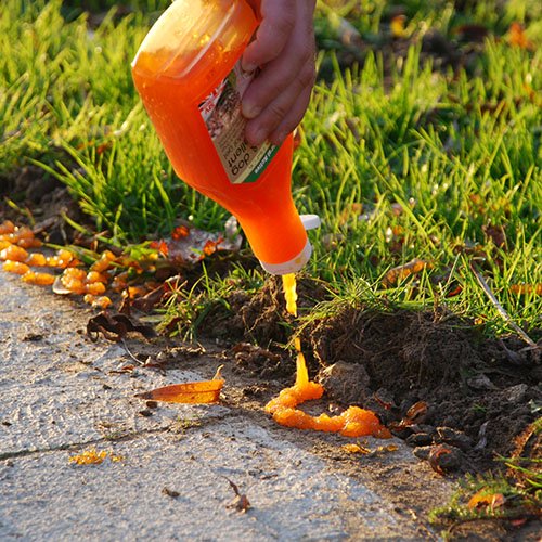 Dicoal STV619 Repelente DE Gel P/Perro Y Gato, Naranja, 5.05 x 8.04 x 21.01 cm