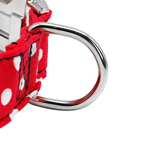 Didog - Collar de perro con grabado personalizable, nailon suave con hebilla de liberación rápida de acero inoxidable, collar de perro con placa de identificación, para perros pequeños y medianos