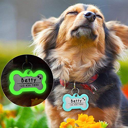 Didog Etiquetas de identificación de perro con grabado personalizado y brillante, silenciador oscuro para proteger la etiqueta y el grabado, acero inoxidable, forma de hueso