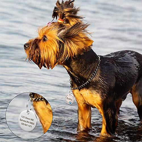 Didog-Etiquetas de identificación para Mascotas,de Acero Inoxidable,Personalizadas,con Cristales Redondos,con diseño de Huellas de Pata,con Grabado láser de Doble Cara,para Perros y Gatitos