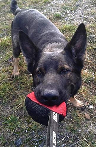 Dingo Gear Desires Bite Tug en Forma de Rodillo para Entrenamiento de Perros IGP K9 Work Play Nylcot Rojo