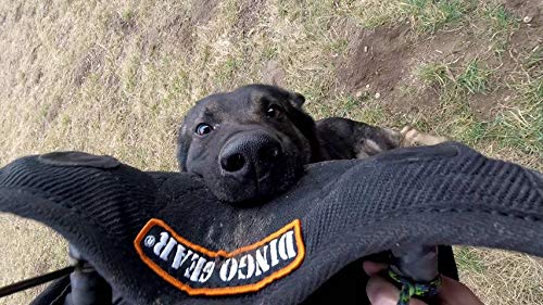 Dingo Gear S00703 - Almohadilla de mordida Universal para Entrenamiento de Perros, 1 asa y 1 Soporte en Tubo de nylcot, Color Negro