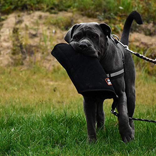 DINGO GEAR S01963 - Funda Blanda con asa para Entrenamiento de mordida de Cachorro, Hecha a Mano con Material francés, Color Negro
