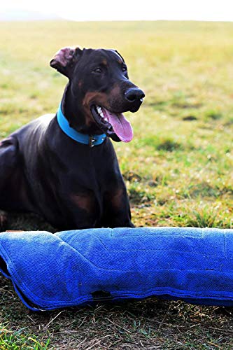 DINGO GEAR S01963 - Funda Blanda con asa para Entrenamiento de mordida de Cachorro, Hecha a Mano con Material francés, Color Negro