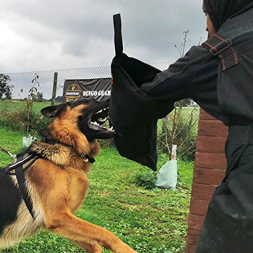 DINGO GEAR S01963 - Funda Blanda con asa para Entrenamiento de mordida de Cachorro, Hecha a Mano con Material francés, Color Negro