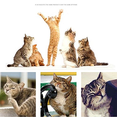 Dirgee Cat Stiming Frame Cat Tree Agarra Columna Saltando Gato Catching Supplies Mascotas Marco de Escalada Cat Litter Toy Sisal Gato Catching Board Apto para Gatos para Jugar y Dormir